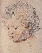 Peter Paul Rubens Rubens-s son oil painting artist